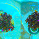 Two groups of ants in water forming rafts. Scientists color-coded the ants to track individual movements. (Image: UCR)